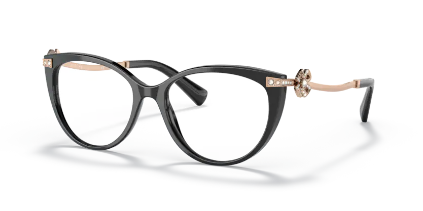 0BV4206B (52, 501-BLACK)